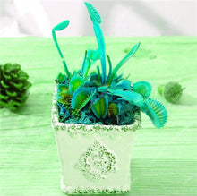 Load image into Gallery viewer, 200 Pcs Carnivorous Garden Potted Flytrap Bonsai plantflower Dionaea Muscipula Giant Clip Venus Flytrap Potted Plant
