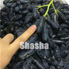 Load image into Gallery viewer, 10 Pcs Black Finger Grape America Giant Grape Bonsai Edible Succulent Fruit Tree Perennial Indoor home garden Potted Plants