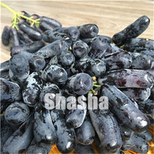 Load image into Gallery viewer, 10 Pcs Black Finger Grape America Giant Grape Bonsai Edible Succulent Fruit Tree Perennial Indoor home garden Potted Plants