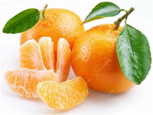 Bonsai 20 Pcs Orange Potted Edible Tangerine Citrus Fruit Dwarf Orange Tree Indoor Plant For Home Garden Non-GMO plants