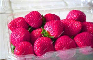 1000 pcs Rare strawberry plants, giant strawberry Organic fruit flores vegetables Non-GMO bonsai pot for home garden planta