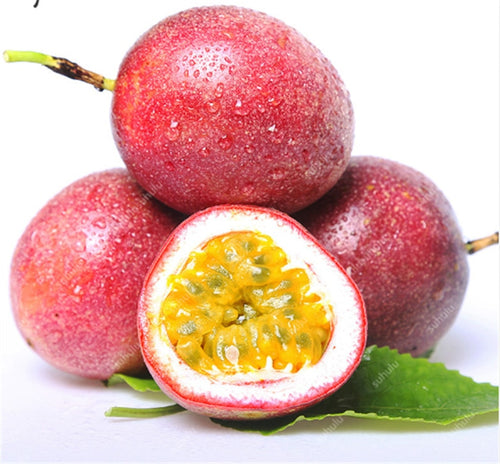 200 Pcs Passiflora Mollissima Banana Passion Fruit Bonsai Delicious Fruit Bonsai Rare Exotic Tropical Fruit DIY Home Garden