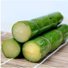 Load image into Gallery viewer, 100 Pcs Colorful Sugar Cane Bonsai Plants Natural Rainbow Vegatable Po For Home Garden Medicinal Vitamin Huge Sweet Chew