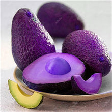 Load image into Gallery viewer, 5 pcs Avocado Bonsai Green Fruit Delicious Persea Americana Mill Pear Bonsai Easy To Grow Fruit Bonsai For Home Garden Plant