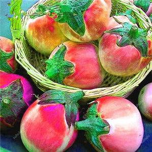 100 pcs Rare eggplant bonsai flower potted plant organic vegetable trees southern United States Bonsai sweet fruit Easy to Grow