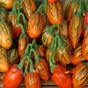 100 pcs Rare eggplant bonsai flower potted plant organic vegetable trees southern United States Bonsai sweet fruit Easy to Grow