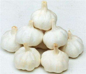 200 pcs Multi-petals Garlic Bonsai, Red And Healthy Plant Onion Garlics Vegetable Bonsai Very Easy Grow Kitchen Seasoning Food