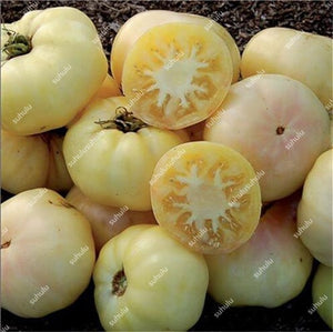 200 pcs Extra-tasty Tomato Bonsai,Delicious Sweet Cherry Tomato Organic Fruit Vegetable Edible Food Balcony Potted Garden Plant
