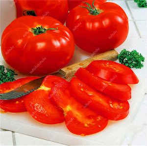 200 pcs Extra-tasty Tomato Bonsai,Delicious Sweet Cherry Tomato Organic Fruit Vegetable Edible Food Balcony Potted Garden Plant