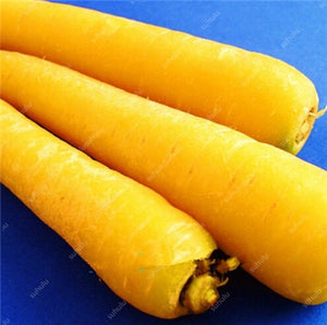 100 pcs/bag Heirloom Ginseng Carrot Bonsai, Non-GMO Carrot Bonsai, Potted Fruit Vegetable Bonsai For Home Garden Planting