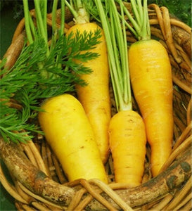 100 pcs/bag Heirloom Ginseng Carrot Bonsai, Non-GMO Carrot Bonsai, Potted Fruit Vegetable Bonsai For Home Garden Planting