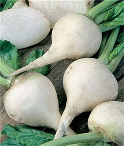 100 pcs Rainbow Cherry Belle Radish Bonsai 100% Real Organic Vegetable Bonsai,Strong Adaptability, Rich Nutrition Four seasons