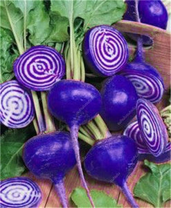 100 pcs Rainbow Cherry Belle Radish Bonsai 100% Real Organic Vegetable Bonsai,Strong Adaptability, Rich Nutrition Four seasons