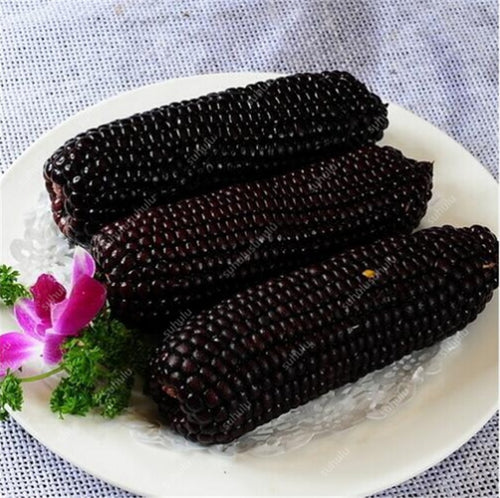 Promotion! 30 pcs Black Sweet Corn Bonsai Vegetable Furit Organic Easy-growing High-Quality Vegetable Plant for home garden