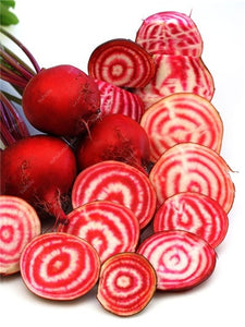 100 pcs Dark Red Beetroot Bonsai Edible Organic Delicious Vegetables Bonsai Plant Home Garden Easy To Grow Beet Plant Pot