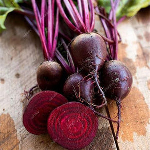 100 pcs Dark Red Beetroot Bonsai Edible Organic Delicious Vegetables Bonsai Plant Home Garden Easy To Grow Beet Plant Pot