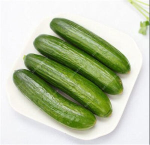 100 pcs/bag Mini cucumber plants Non-GMO delicious cucumber fruit and vegetable bonsai for home garden planting, Easy to Grow