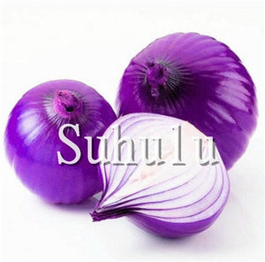 Sale!100 pcs/bag Fresh Giant Purple Onion Plants Vegetable Plantas 95%+ Germination Vegetable Onion for Home Garden Easy to Grow