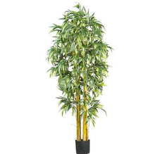 Load image into Gallery viewer, 100Pc Bamboo Bonsai Rare Giant Black Moso Bamboo Bambu Professional Pack Bambusa Lako Tree Bonsai For Home Garden Purify The Air