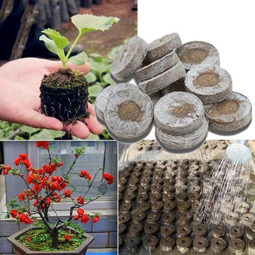 Garden 6/15 pcs Peat Pellets Seed Starting Plugs Seeds Starter Pallet Seedling Soil Block Professional Easy To Use